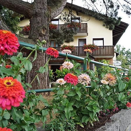 Hotel-Landgasthof Henghuber Rötz Exterior foto